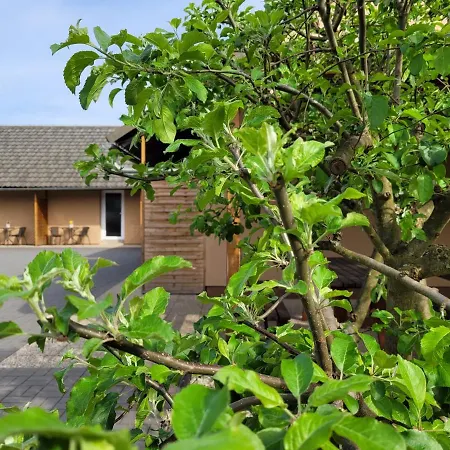 Dolosin Apartment