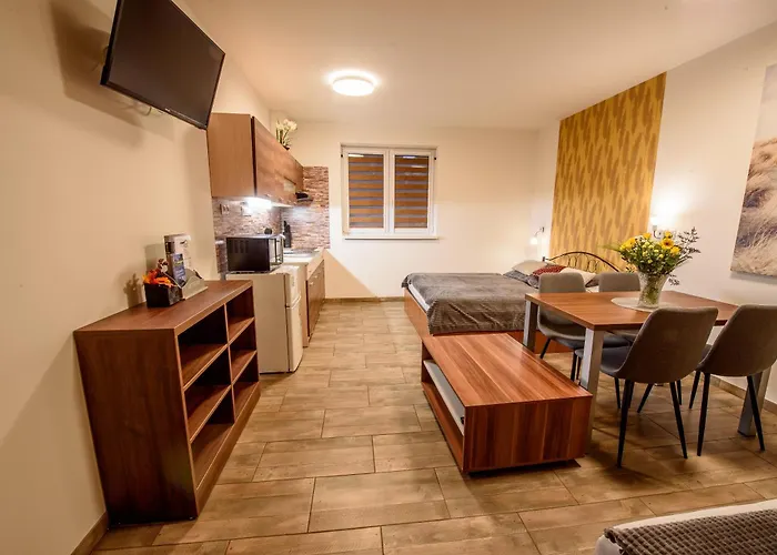 Dolosin Appartement Velké Losiny